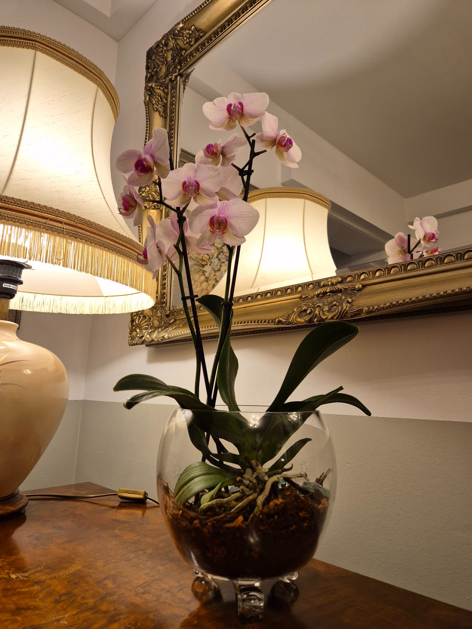 Pink orchid in a Freyven glass vessel against a gilded mirror